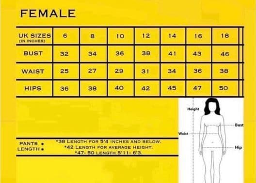 bust, waist and hips sizes
